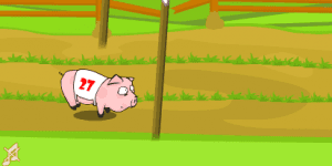 Hra - Pig Race