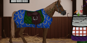 Hra - Vysnívaný kôň