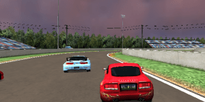 Hra - Speed Rally Pro