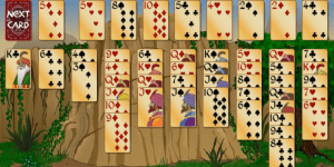 Forty Thieves Solitaire G